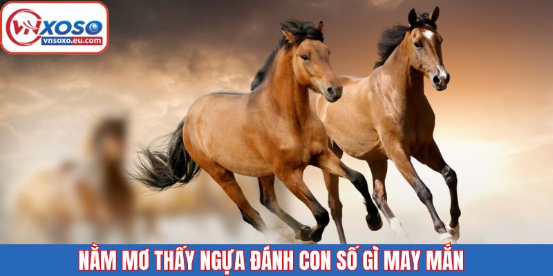 Top các con số liên quan khi nằm mơ thấy ngựa 