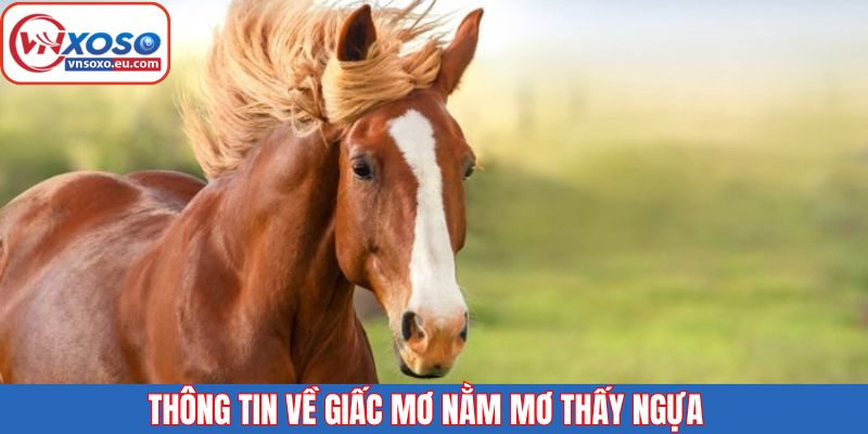 Tổng quan thông tin khi mộng thấy ngựa