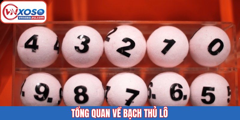 Tổng quan về lô bạch thủ quen thuộc