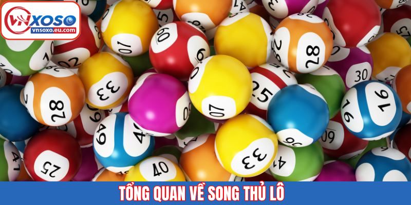 Tổng quan về song thủ lô